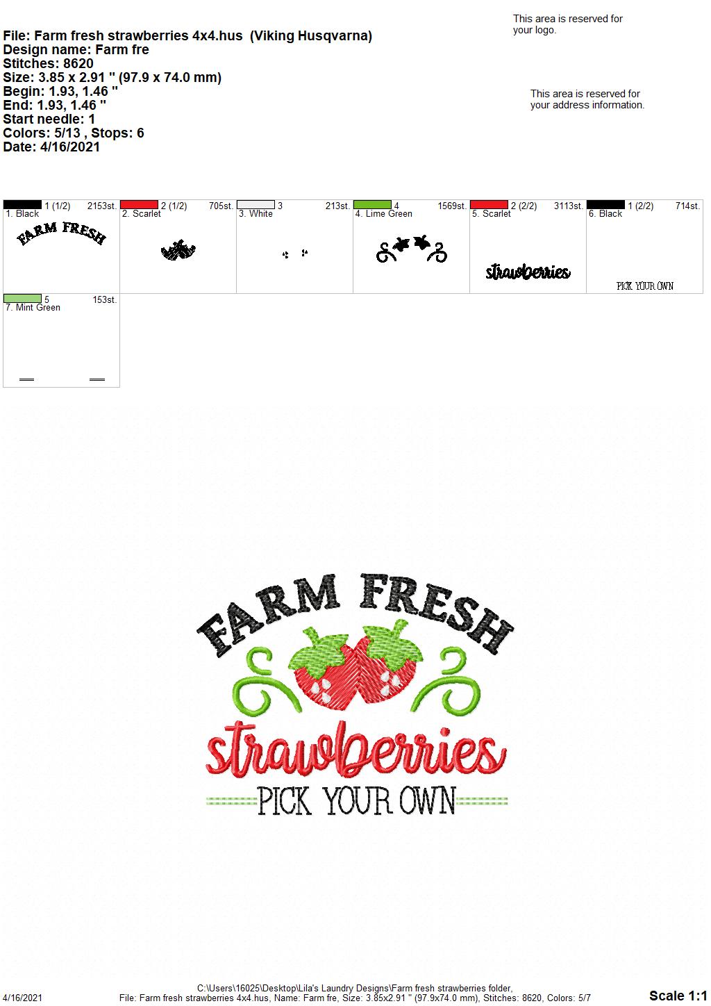 Farm Fresh Strawberries - 4 sizes- Digital Embroidery Design