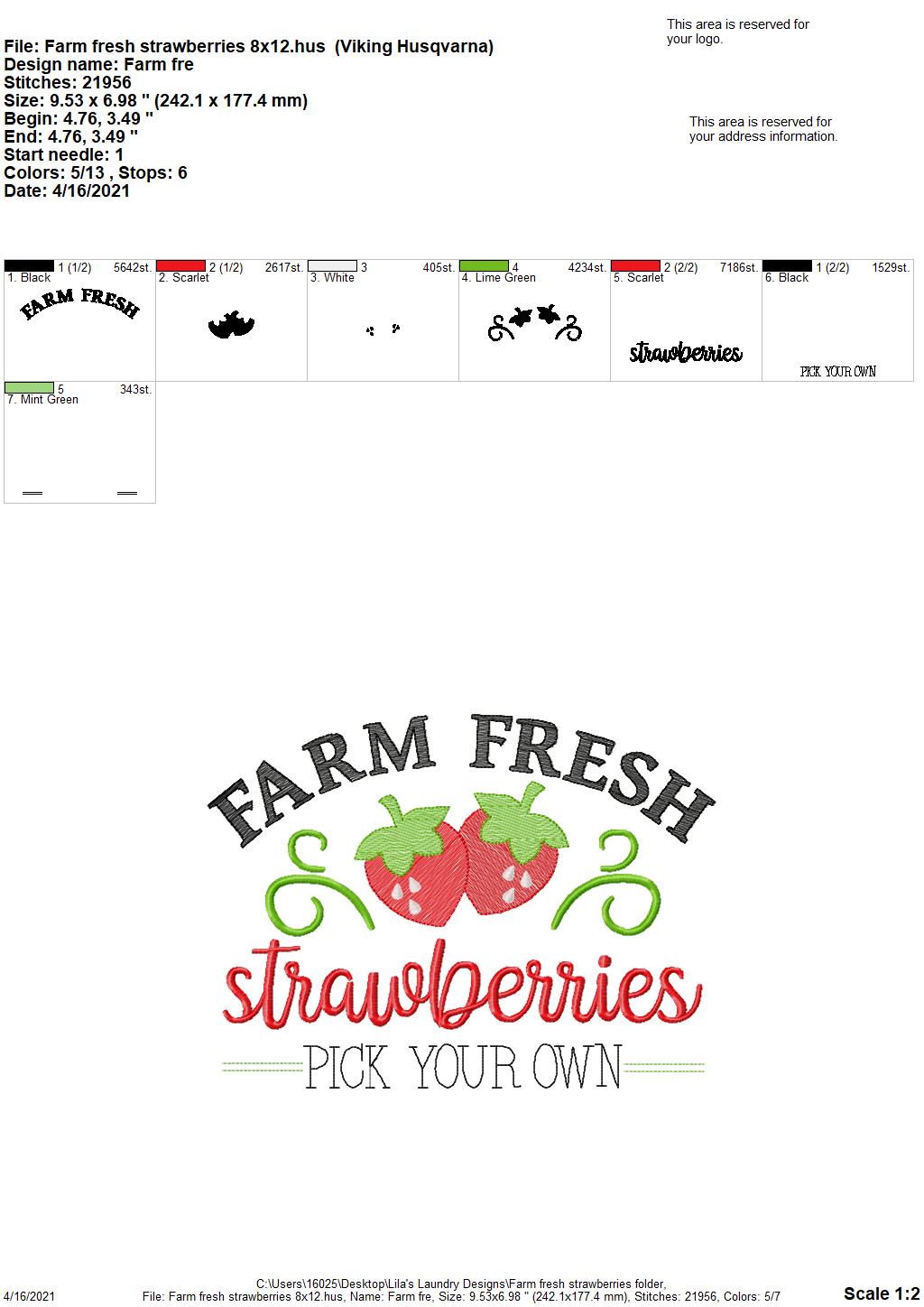 Farm Fresh Strawberries - 4 sizes- Digital Embroidery Design