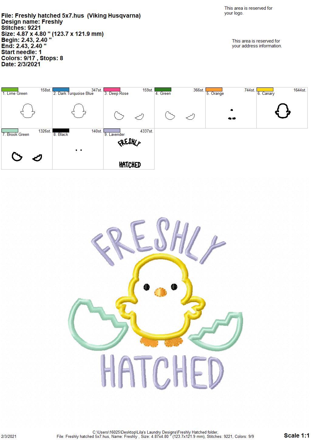 Freshly Hatched Applique - 2 sizes- Digital Embroidery Design