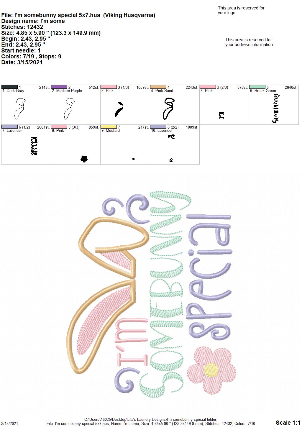 I'm Somebunny Special - 4 sizes- Digital Embroidery Design